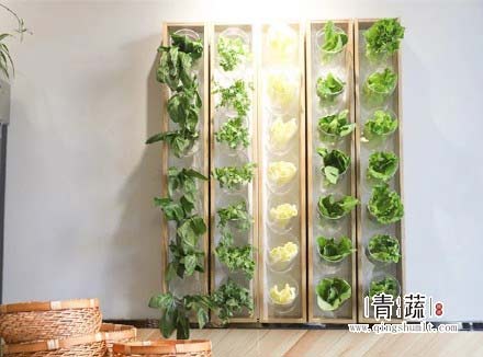 麻辣烫加盟青蔬http://www.qingshumlt.com/